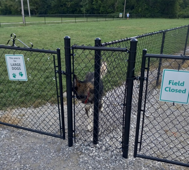 Tillie Memorial Dog Park (Berea,&nbspKY)